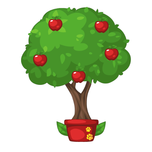 Apple Tree Bonsai