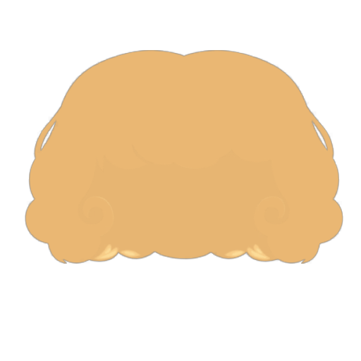 Ballet Princess Wig