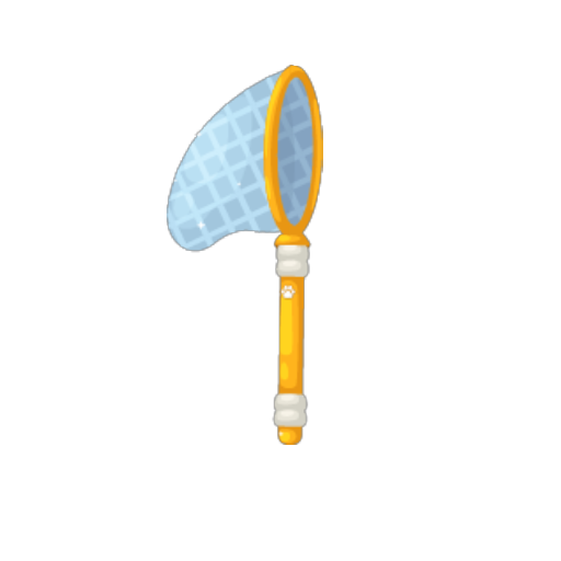 Begginer Net
