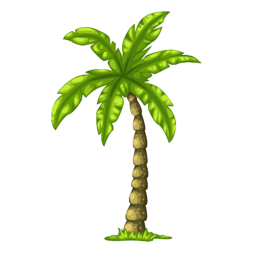 Big Beach Palm