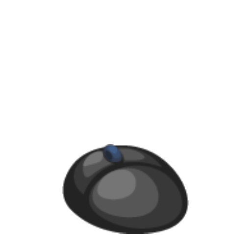 Black Computer Mouse