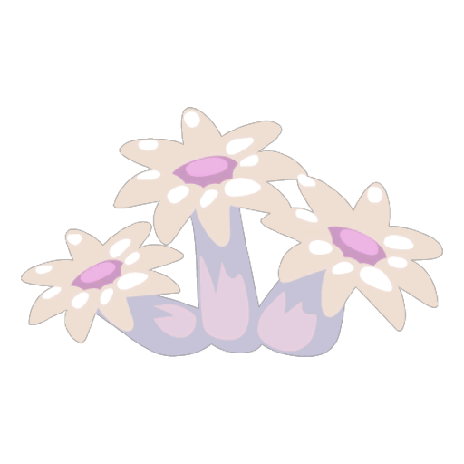 Blue Anemone