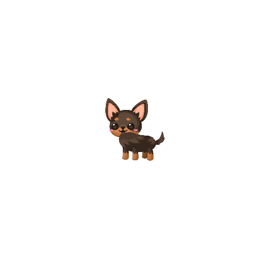 Brown Chihuahua Dog Petling