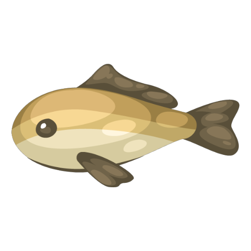 Carp Fish