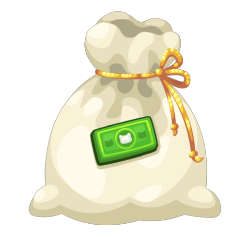 Cash Bag