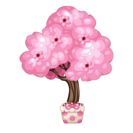 Cherry Blossom Tree Bonsai