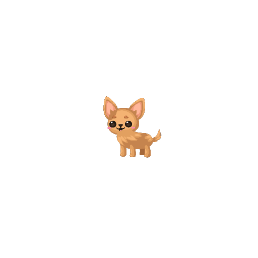 Chihuahua Dog Petling