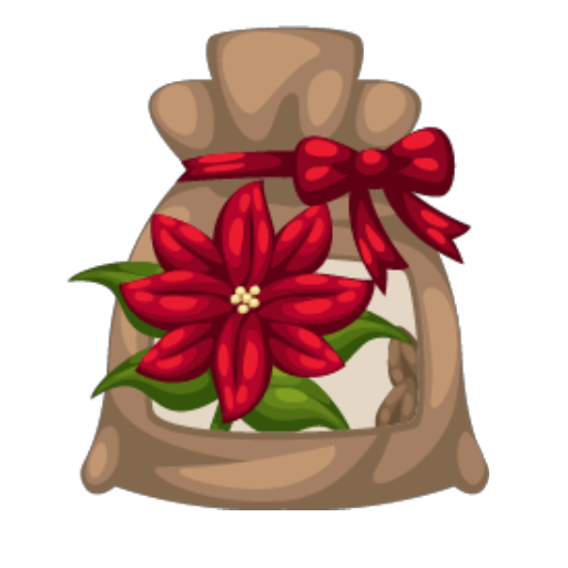 Christmas Poinsettia Seed