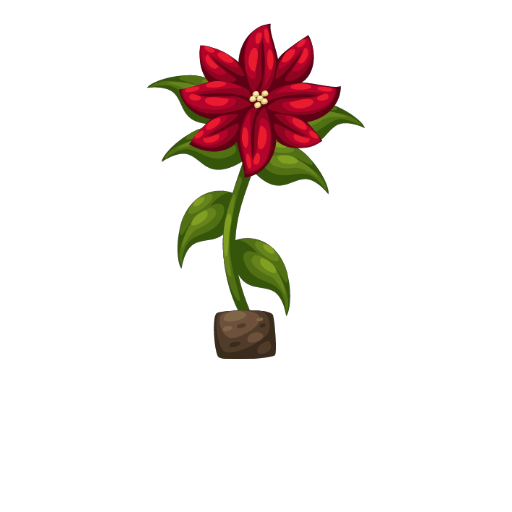 Christmas Ponsettia Flower