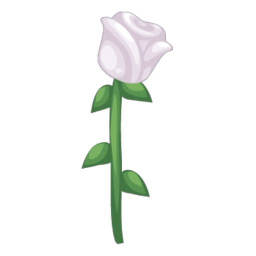 Classic Valentines Boy White Rose
