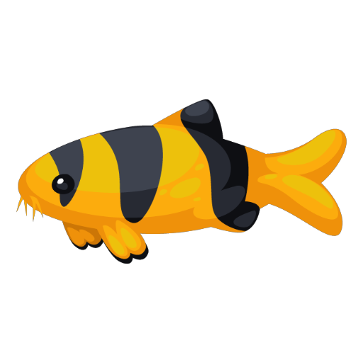 Clown Loach