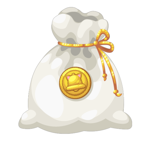 Coin Bag