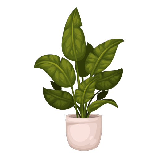 Cozy Cute Plant