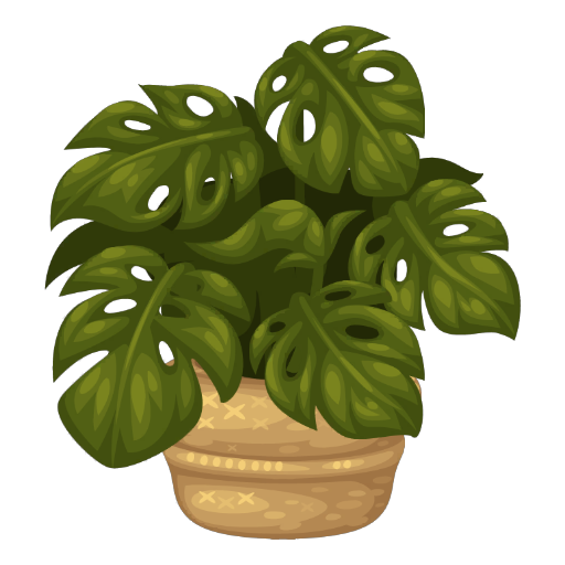 Cozy Monstera