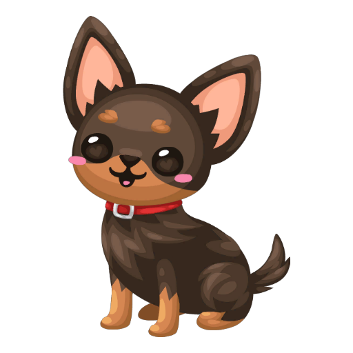 Cute Dark Chihuahua