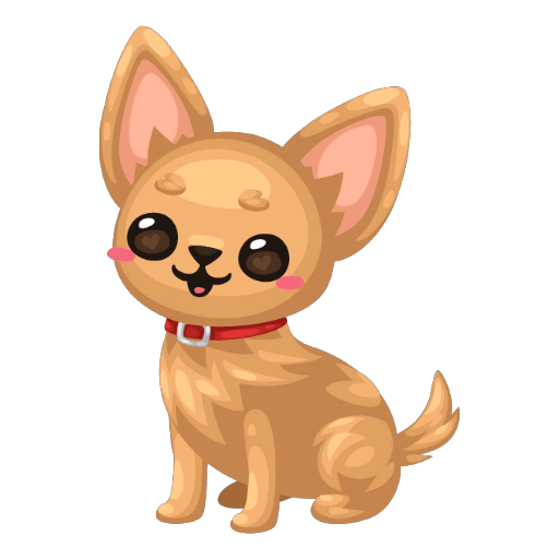 Cute Golden Chihuahua