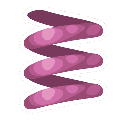 Dreamy Park Coil Spring