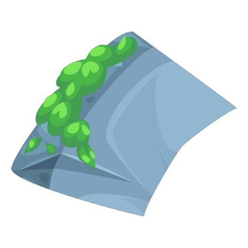 Fossil Piece 1