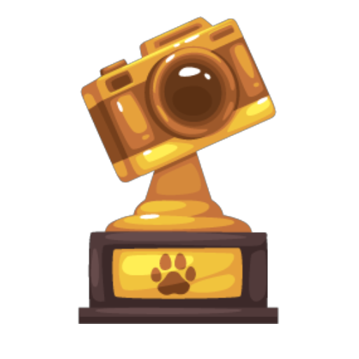 Gold Photographer Trophy