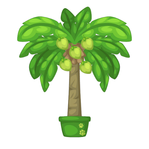 Green Coconut Palm Bonsai