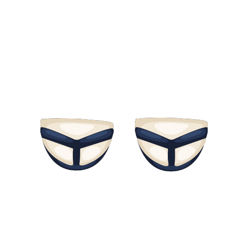 Japanese Blue Shoes
