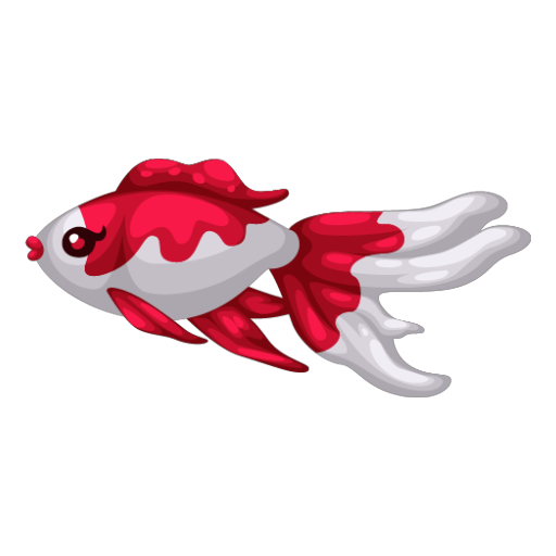 Japanese Red Koi Fish