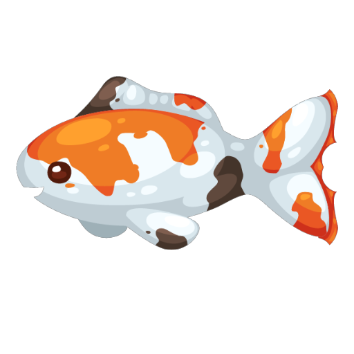 Koi Fish