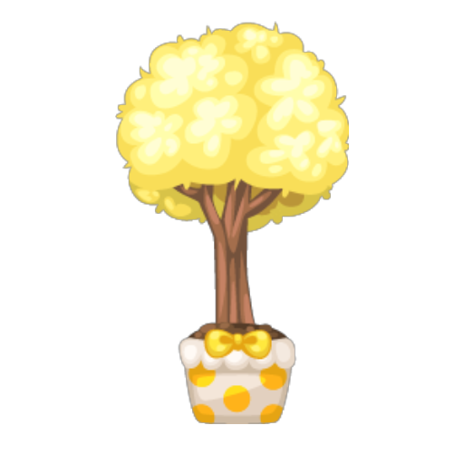 Lemon Tree BonsaI