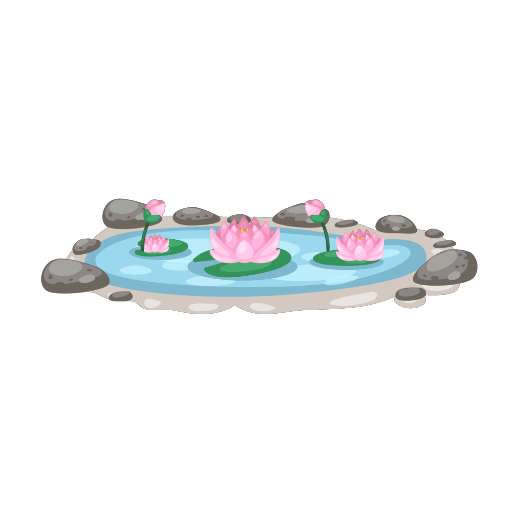 Lotus Flower Pond