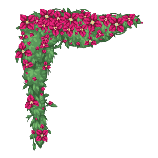 Mexican Pink Flower Wall Bush