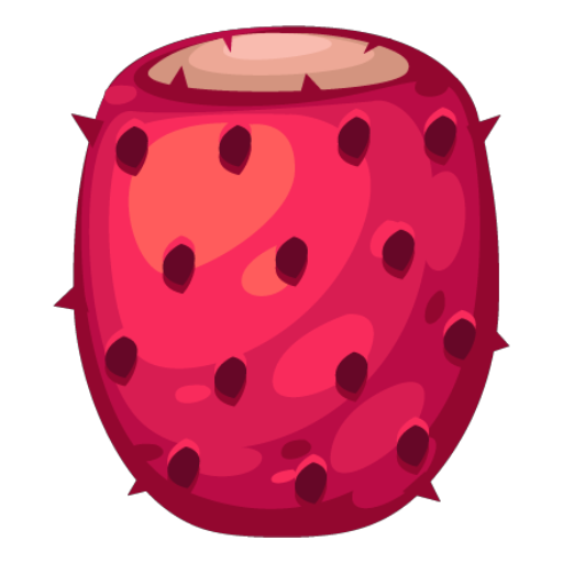Mexican Prickly Pear Fruit