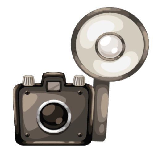 Noir Camera With Flash