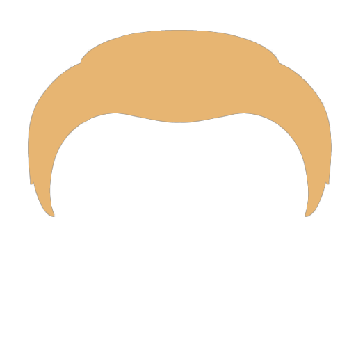 Noir Detective Wig