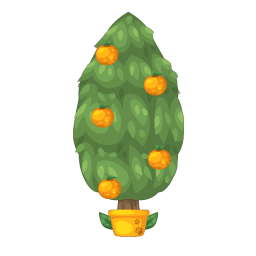 Orange Tree Bonsai