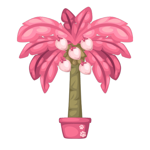 Pink Coconut Palm Bonsai