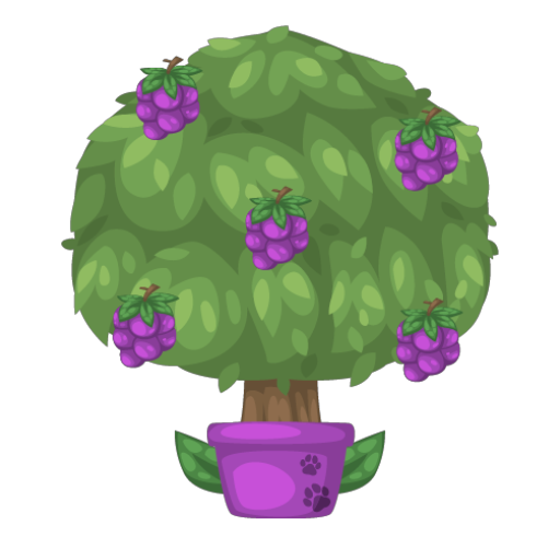 Purple Grape Tree Bonsai