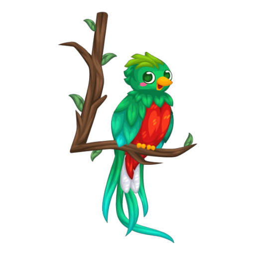 Quetzal Bird