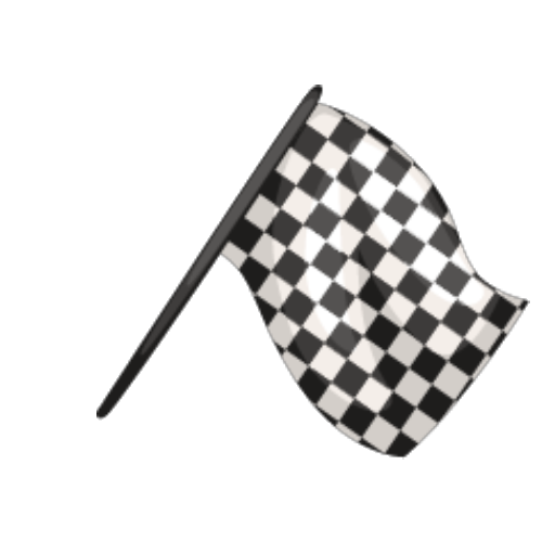 Racing Competitor Flag