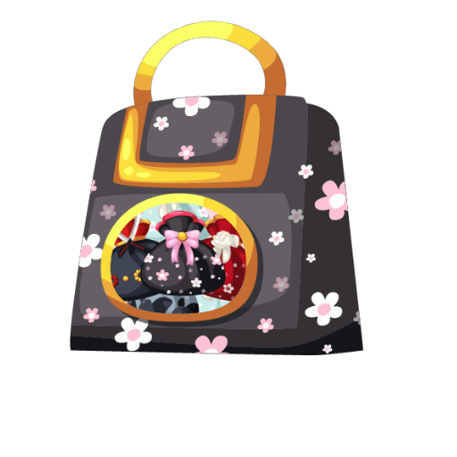 Random Japanese Outfit Box
