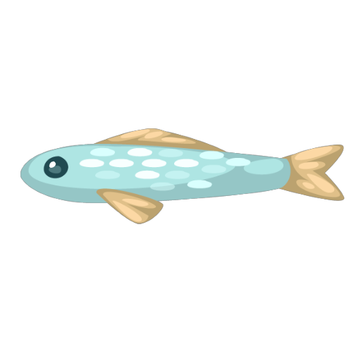 Sardine