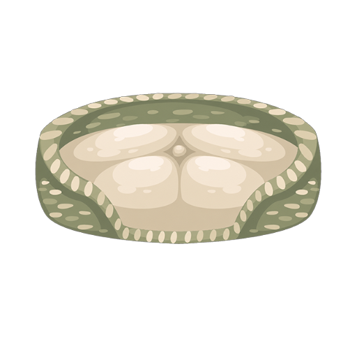 Starter Rattan Green Petling Mini Bed