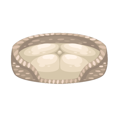 Starter Rattan Petling Mini Bed