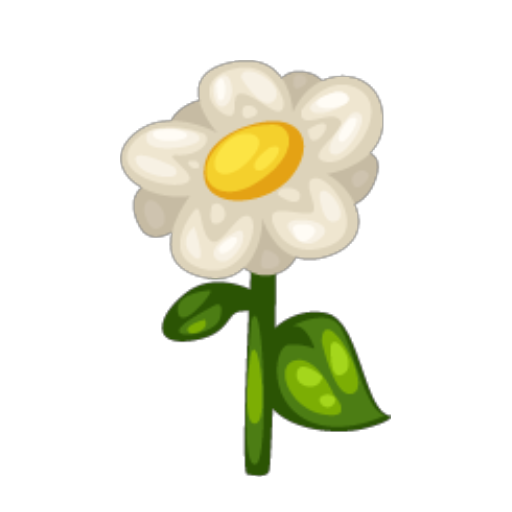 Daisy Decor