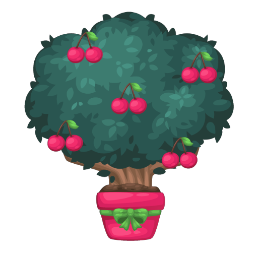 Sweet Cherries Tree Bonsai