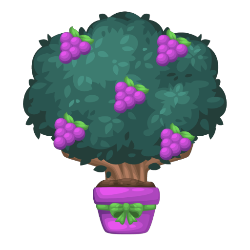 Sweet Grapes Tree Bonsai