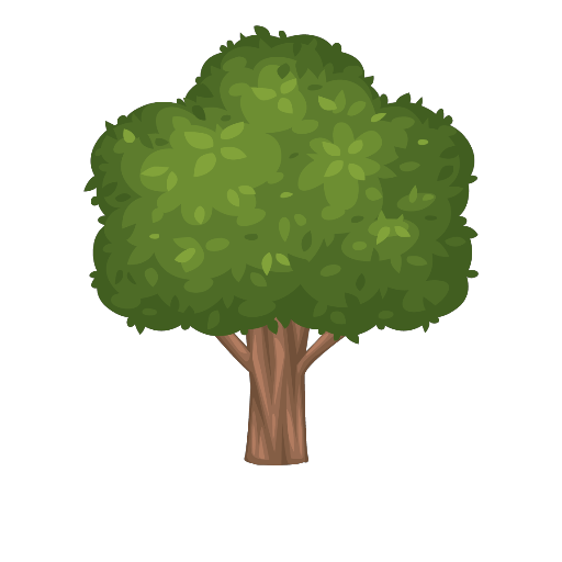 Sweet Orange Tree