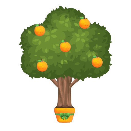 Sweet Orange Tree Bonsai