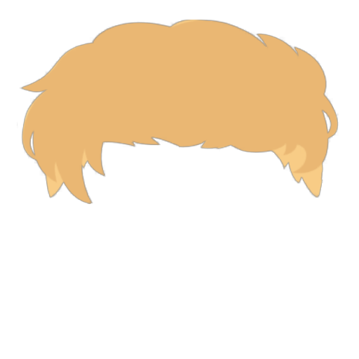 VIP Rocker Boy Wig