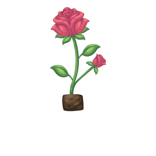 Valentine Pink Rose Flower