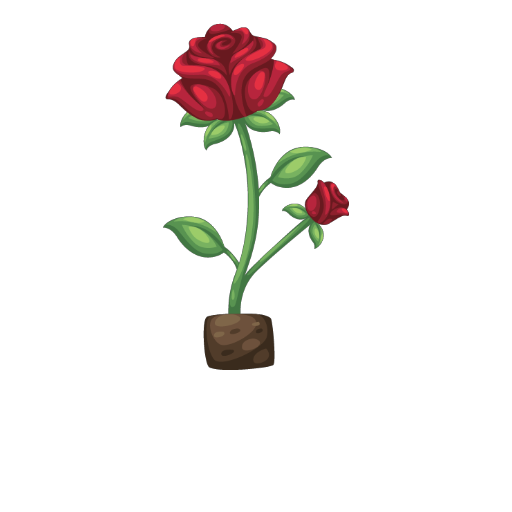 Valentine Red Rose Flower